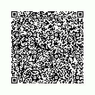 vCard 73832337197