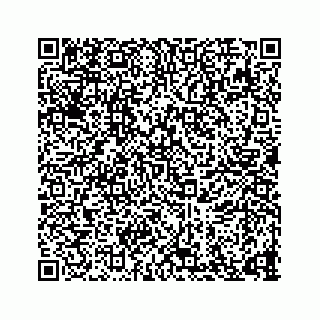 vCard 73835843278