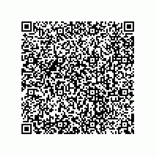 vCard 73912498527