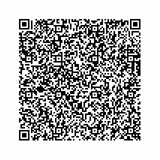 vCard 73916176653