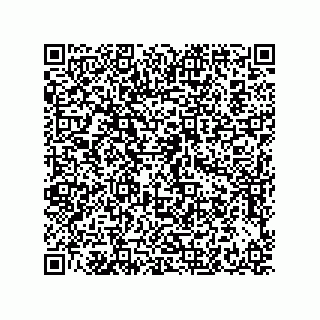 vCard 73942293335
