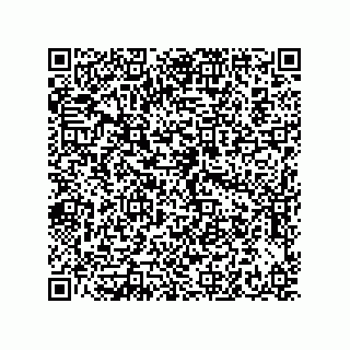 vCard 73942299279