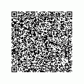 vCard 73942299379