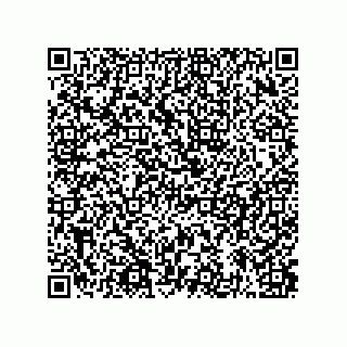 vCard 73943294113