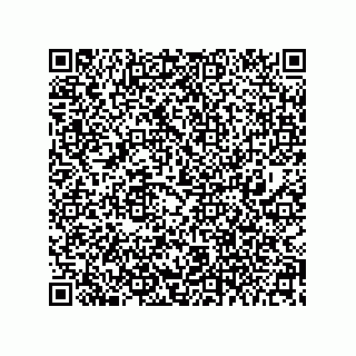 vCard 73944521385