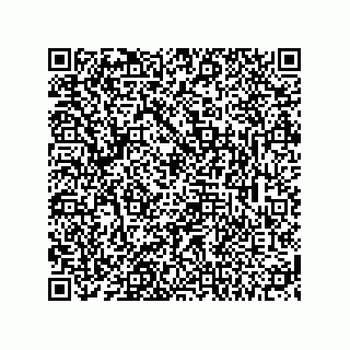 vCard 74113141317