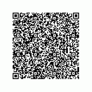 vCard 74113141325