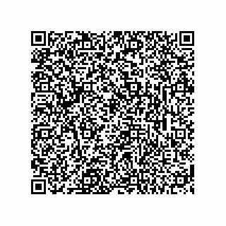 vCard 74113141333