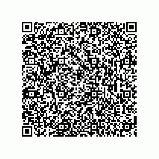 vCard 74113141377