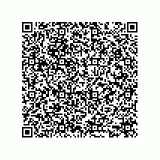vCard 74113141381