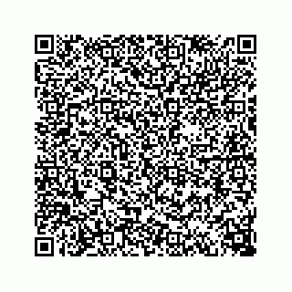 vCard 74113235381