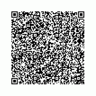 vCard 74113326521