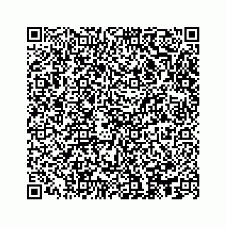 vCard 74113327382