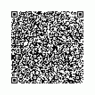 vCard 74113328409