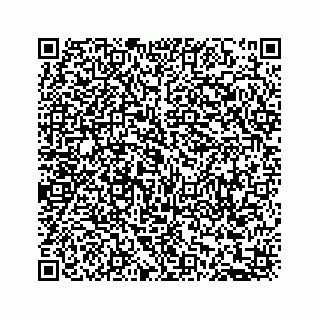vCard 74113329411