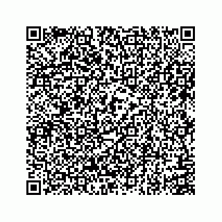 vCard 74113329417