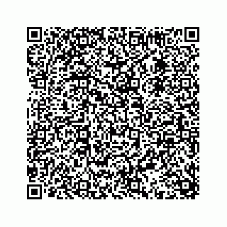 vCard 74113649385