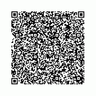 vCard 74113675321