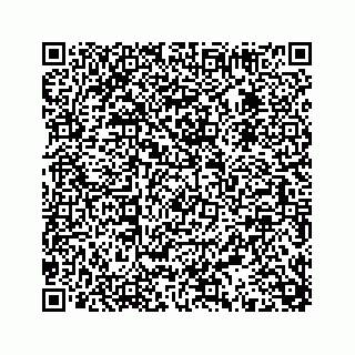 vCard 74113675384