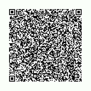 vCard 74113678301