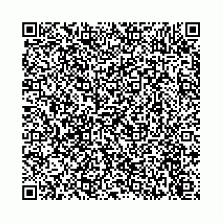 vCard 74113678387