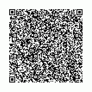 vCard 74113678528
