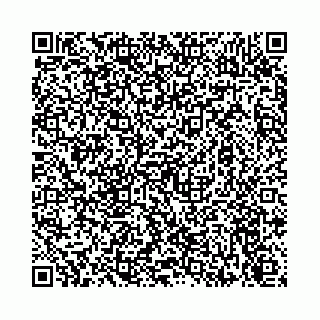 vCard 74113678539
