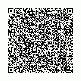 vCard 74113678581