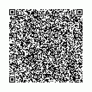 vCard 74113678881