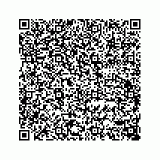 vCard 74113679384