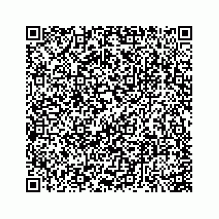 vCard 74113679385