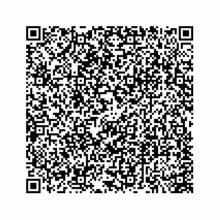 vCard 74113695285