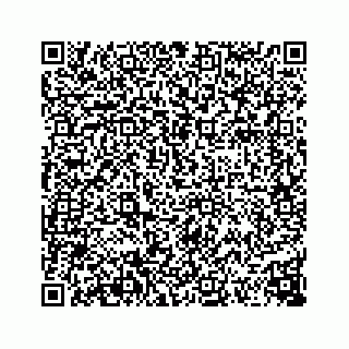 vCard 74113721029