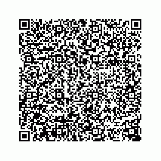 vCard 74113738381