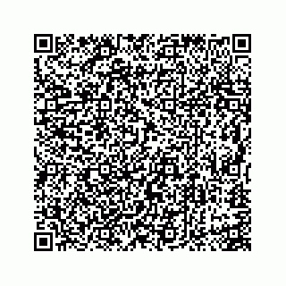 vCard 74113741311