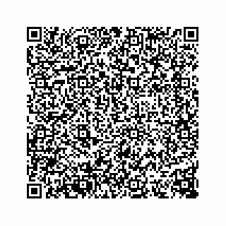 vCard 74113741376