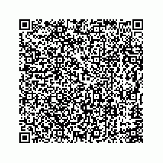 vCard 74113745281