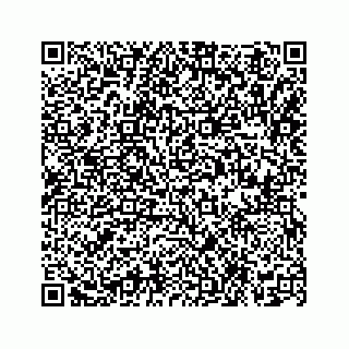 vCard 74115821381