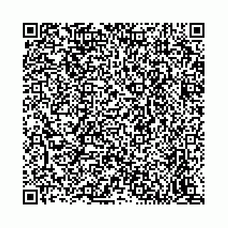 vCard 74116021333