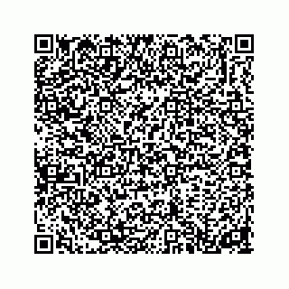 vCard 74213831128