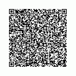 vCard 74217200020