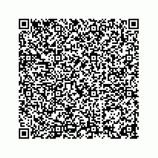 vCard 74217200031