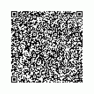 vCard 74217200099