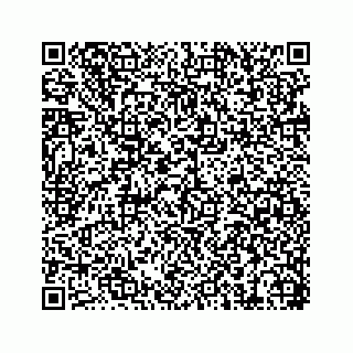 vCard 74217200194