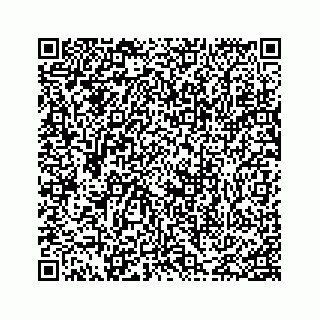 vCard 74217200199