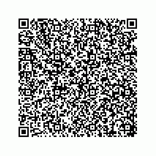 vCard 74217200259