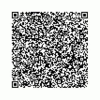 vCard 74217200263