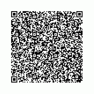 vCard 74217200281
