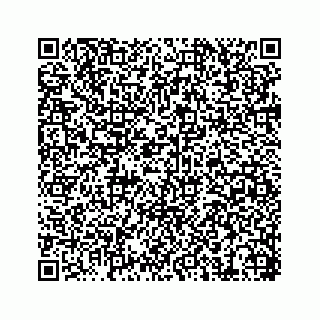 vCard 74217200286