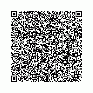 vCard 74217200297